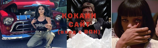 apvp Алзамай