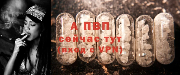 амф Аркадак